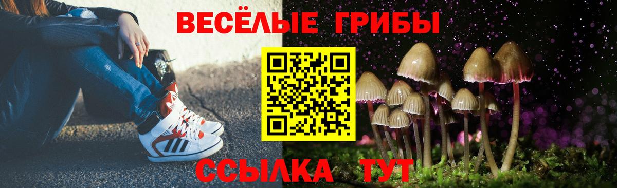 Ефремов  Псилоцибиновые грибы Psilocybine cubensis  Вход с VPN 