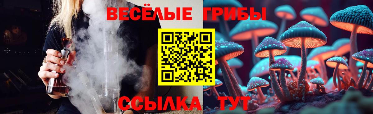Псилоцибиновые грибы мицелий Ефремов